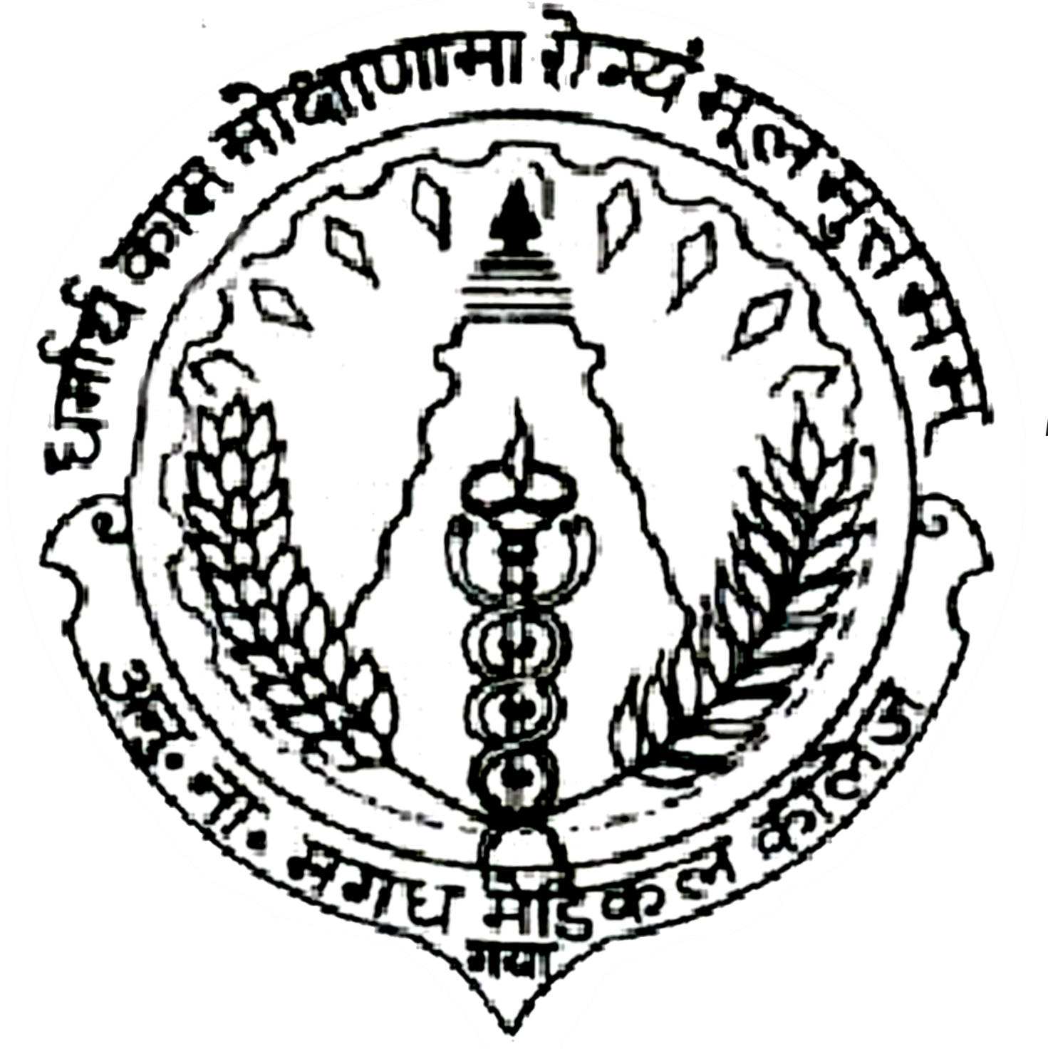 Anugrah Narayan Magadh Medical College, Gaya logo